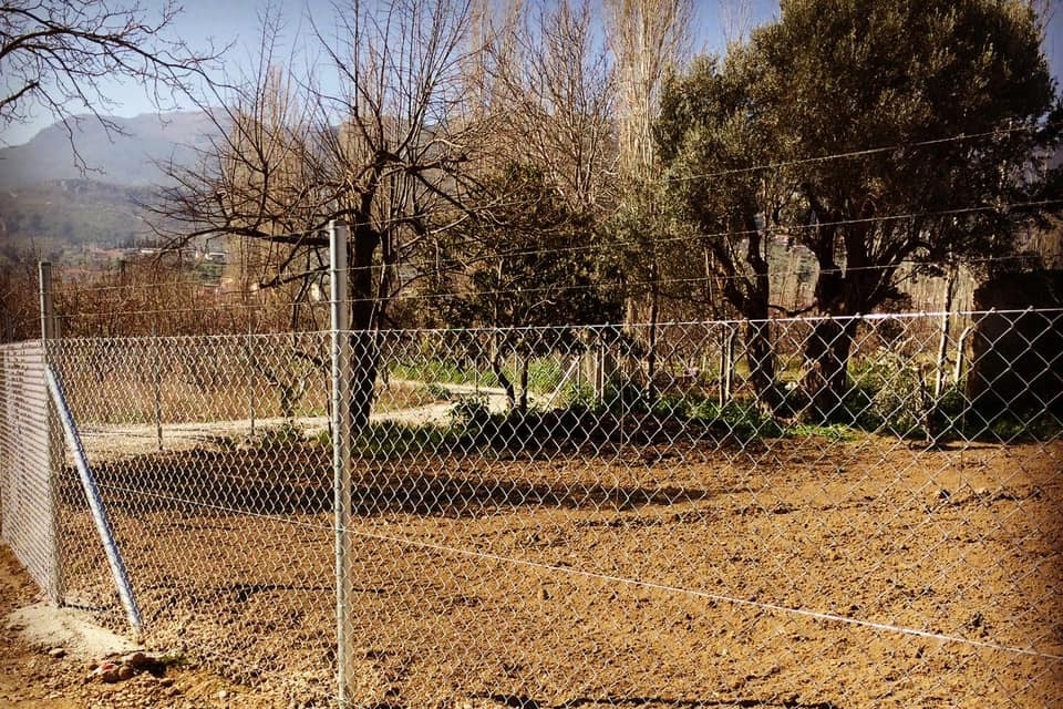 Galvaniz Boru Direkli Tel